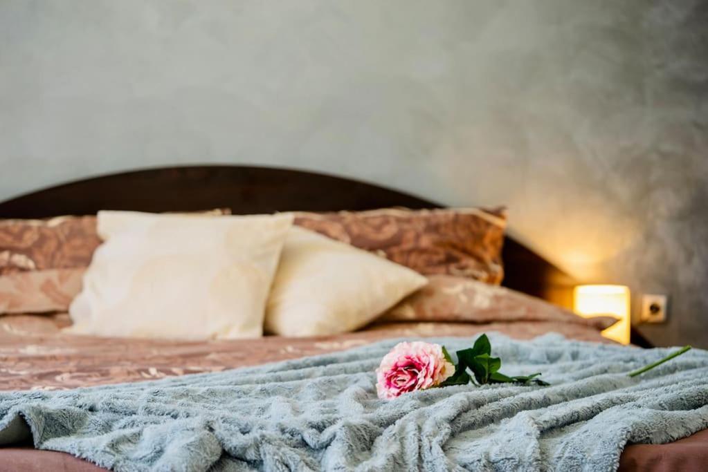 Cozy 2-bedroom Flat In The Very Center Of * Sofia